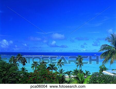 rest area, rest, relaxation, tropic district, tropic sea, tropic, palm tree View Large Photo Image Picture - rest area, rest, relaxation, tropic district, tropic sea, tropic, palm tree. Fotosearch