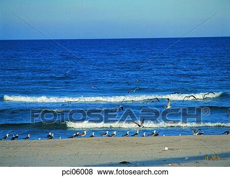 sea, landscape, scenery, scene, view, nature, landscape View Large Photo Image Stock Photo - sea, landscape, scenery, scene, view, nature, landscape. Fotosearch