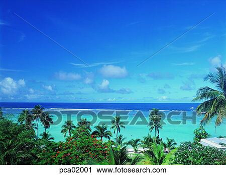 sea, rest area, rest, relaxation, tropic sea, tropic, tropic district View Large Photo Image Stock Image - sea, rest area, rest, relaxation, tropic sea, tropic, tropic district. Fotosearch