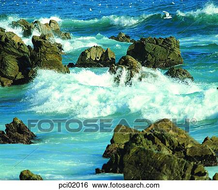 wave, gull, landscape, scenery, scene, view, nature View Large Photo Image Stock Photograph - wave, gull, landscape, scenery, scene, view, nature. Fotosearch