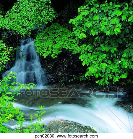 谷 峡谷 流水 流れ 夏 涼しい 風景 ストックイメージ Pch080 Fotosearch