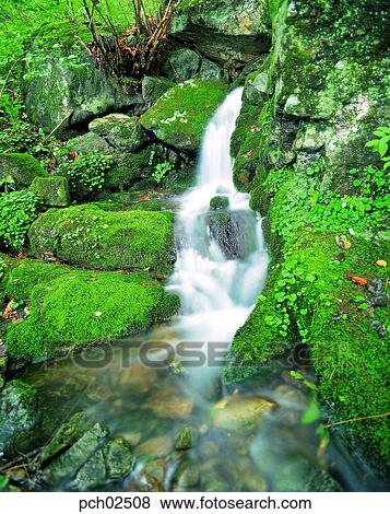 谷 峡谷 谷 峡谷 夏 涼しい 風景 写真館 イメージ館 Pch Fotosearch