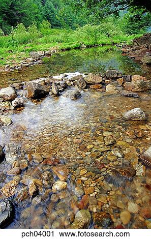 brook, rivulet, brook, rivulet, brook, rivulet, bank of a stream View Large Photo Image Stock Image - brook, rivulet, brook, rivulet, brook, rivulet, bank of a stream. Fotosearch