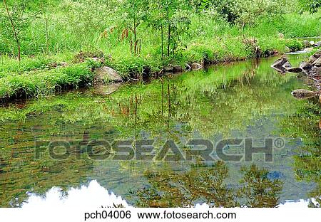 brook, rivulet, reflection, reflection, landscape, scenery, scene View Large Photo Image Stock Photograph - brook, rivulet, reflection, reflection, landscape, scenery, scene. Fotosearch