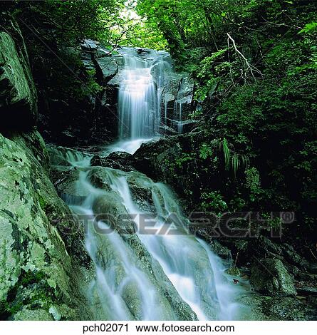 falls, valley, canyon, falls, in the mountain, running water, cool View Large Photo Image Stock Image - falls, valley, canyon, falls, in the mountain, running water, cool. Fotosearch