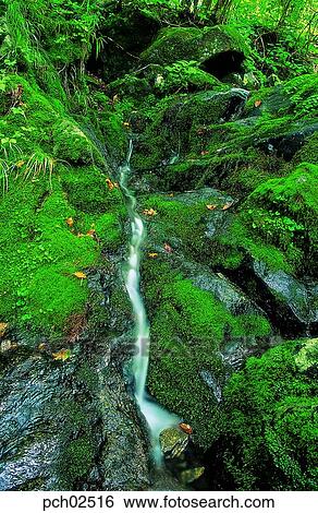 moss, valley, canyon, valley, canyon, nature, landscape View Large Photo Image Stock Photograph - moss, valley, canyon, valley, canyon, nature, landscape. Fotosearch