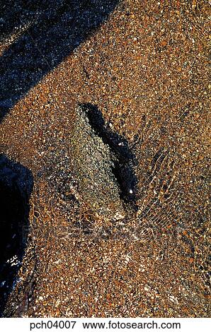 running water, water, sand, outdoor, exterior, day View Large Photo Image Stock Photo - running water, water, sand, outdoor, exterior, day. Fotosearch