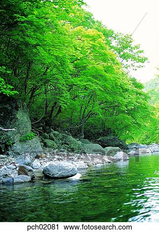 valley, canyon, brook, rivulet, bank of a stream, brook, rivulet View Large Photo Image Stock Image - valley, canyon, brook, rivulet, bank of a stream, brook, rivulet. Fotosearch