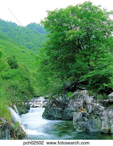 valley, canyon, brook, rivulet, bank of a stream, valley, canyon View Large Photo Image Stock Image - valley, canyon, brook, rivulet, bank of a stream, valley, canyon. Fotosearch