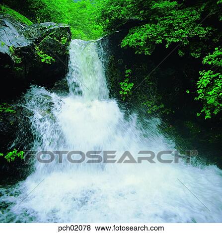 valley, canyon, cool, stream, summer, landscape, scenery View Large Photo Image Stock Photo - valley, canyon, cool, stream, summer, landscape, scenery. Fotosearch