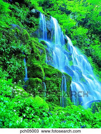 valley, canyon, falls, falls, valley, canyon, landscape View Large Photo Image Stock Image - valley, canyon, falls, falls, valley, canyon, landscape. Fotosearch