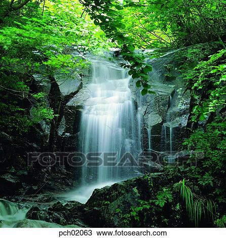 valley, canyon, falls, mountain, wood, forest, tree View Large Photo Image Stock Image - valley, canyon, falls, mountain, wood, forest, tree. Fotosearch