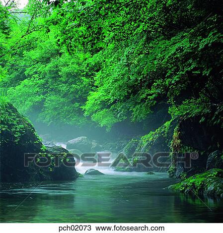 valley, canyon, in the wood, in the forest, in the mountain, green, blue View Large Photo Image Stock Image - valley, canyon, in the wood, in the forest, in the mountain, green, blue. Fotosearch