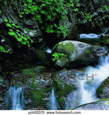 valley, canyon, landscape, scenery, scene, view, mountain stream View Large Photo Image Stock Image - valley, canyon, landscape, scenery, scene, view, mountain stream. Fotosearch