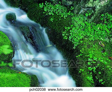 valley, canyon, landscape, scenery, scene, view, mountain stream View Large Photo Image Stock Photo - valley, canyon, landscape, scenery, scene, view, mountain stream. Fotosearch