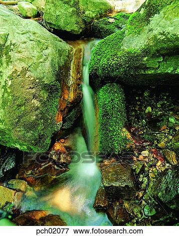 valley, canyon, rock, moss, stone, valley, canyon View Large Photo Image Stock Photo - valley, canyon, rock, moss, stone, valley, canyon. Fotosearch