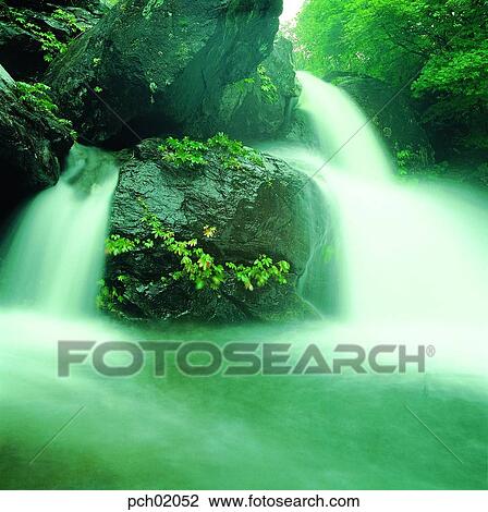 valley, canyon, rock, moss, tree, mountain, wood View Large Photo Image Stock Image - valley, canyon, rock, moss, tree, mountain, wood. Fotosearch
