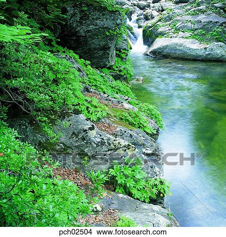 valley, canyon, stone and maple, landscape, scenery, scene, view View Large Photo Image Picture - valley, canyon, stone and maple, landscape, scenery, scene, view. Fotosearch