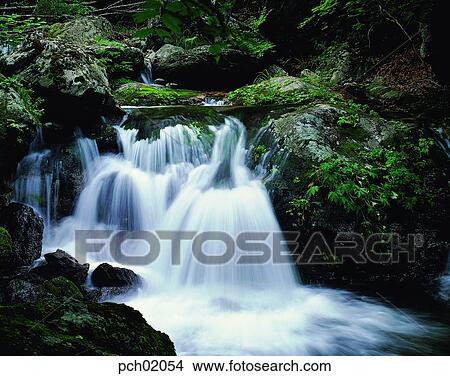 valley, canyon, stream, running water, cool, summer, landscape View Large Photo Image Picture - valley, canyon, stream, running water, cool, summer, landscape. Fotosearch