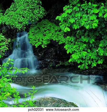 valley, canyon, valley, canyon, branch, twig, landscape View Large Photo Image Stock Image - valley, canyon, valley, canyon, branch, twig, landscape. Fotosearch