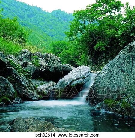 Picture - valley, canyon, valley, canyon, brook, rivulet, brook. Fotosearch