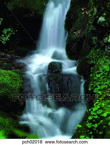 valley, canyon, valley, canyon, cool, stream, falls View Large Photo Image Stock Photo - valley, canyon, valley, canyon, cool, stream, falls. Fotosearch