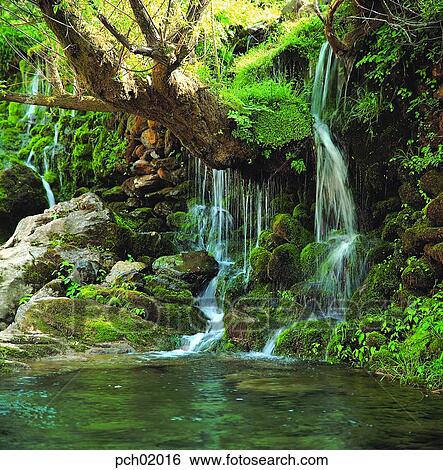 valley, canyon, valley, canyon, falls, falls, stream View Large Photo Image Stock Photograph - valley, canyon, valley, canyon, falls, falls, stream. Fotosearch