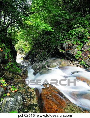 Stock Photography - valley, canyon, valley, canyon, in the mountain, in the wood, in the forest. Fotosearch