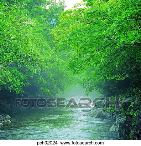 valley, canyon, valley, canyon, landscape, scenery, scene View Large Photo Image Picture - valley, canyon, valley, canyon, landscape, scenery, scene. Fotosearch