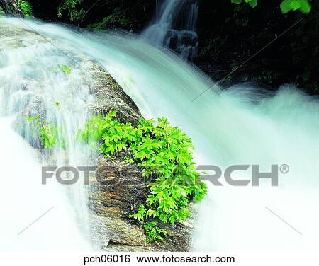 Stock Photograph - valley, canyon, valley, canyon, running water, current, running water. Fotosearch