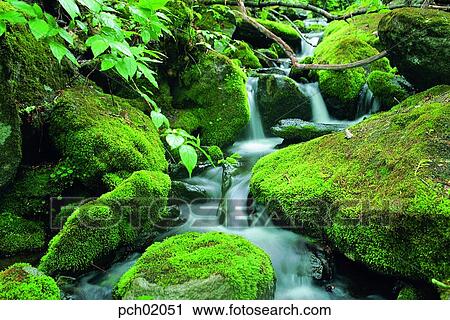 valley, canyon, valley, canyon, landscape, scenery, scene View Large Photo Image Stock Image - valley, canyon, valley, canyon, landscape, scenery, scene. Fotosearch