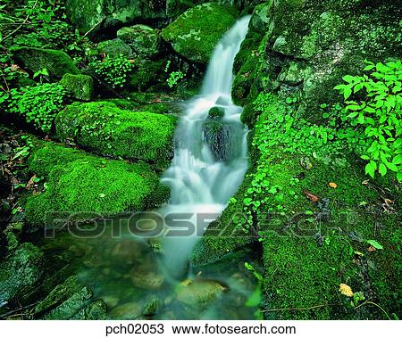 valley, canyon, valley, canyon, landscape, scenery, scene View Large Photo Image Stock Image - valley, canyon, valley, canyon, landscape, scenery, scene. Fotosearch