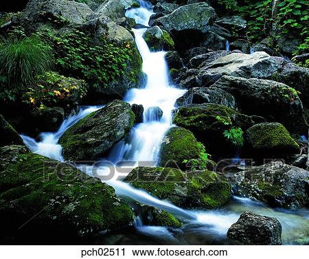 valley, canyon, valley, canyon, landscape, scenery, scene View Large Photo Image Stock Image - valley, canyon, valley, canyon, landscape, scenery, scene. Fotosearch