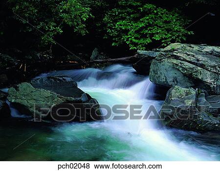 valley, canyon, valley, canyon, mountain, wood, forest View Large Photo Image Stock Photo - valley, canyon, valley, canyon, mountain, wood, forest. Fotosearch