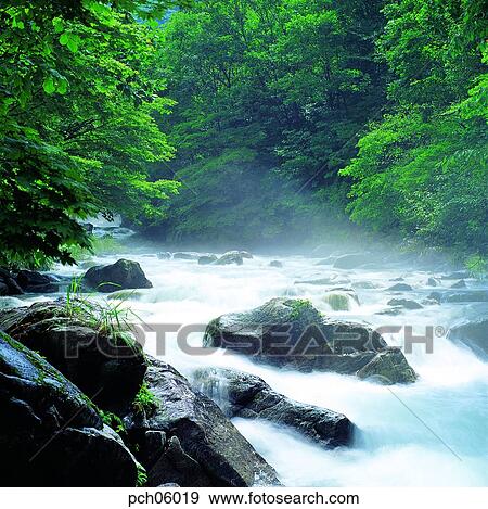 Stock Photo - valley, canyon, valley, canyon, mountain, in the wood, in the forest. Fotosearch