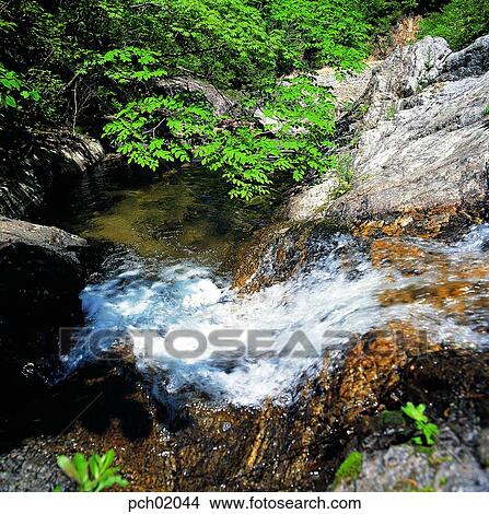 valley, canyon, valley, canyon, summer, cool, in the mountain View Large Photo Image Picture - valley, canyon, valley, canyon, summer, cool, in the mountain. Fotosearch