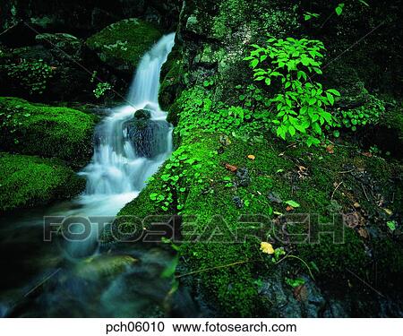 valley, canyon, valley, canyon, summer, green, blue View Large Photo Image Stock Image - valley, canyon, valley, canyon, summer, green, blue. Fotosearch
