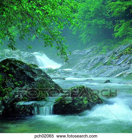 Stock Photography - valley, canyon, wood, forest, mountain, tree, rock. Fotosearch