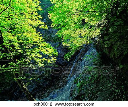 valley, vale, ravine, valley, canyon, branch, twig View Large Photo Image Stock Image - valley, vale, ravine, valley, canyon, branch, twig. Fotosearch