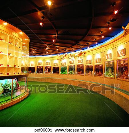 Stock Photography - exhibition, display, exhibition, show, display, light, illumination. Fotosearch