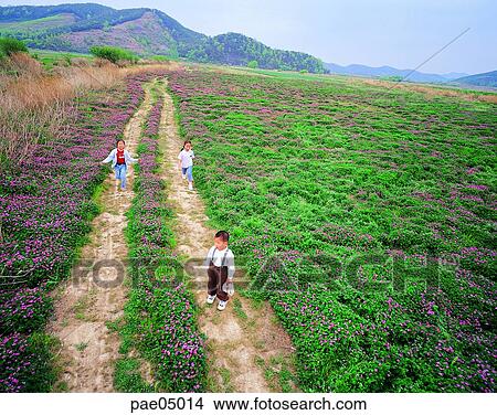 children, child, kid, flower field, wild flower, field flower, plain View Large Photo Image Picture - children, child, kid, flower field, wild flower, field flower, plain. Fotosearch