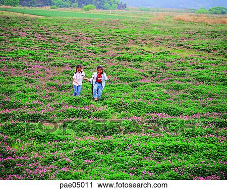 Stock Image - children, child, kid, nature, flower field, wild flower, field flower. Fotosearch