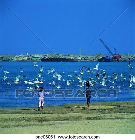 children, child, kid, sea, gull, fishing village, sea View Large Photo Image Stock Image - children, child, kid, sea, gull, fishing village, sea. Fotosearch