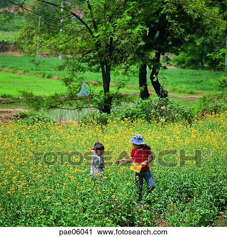insect collecting, person, people, men View Large Photo Image Stock Image - insect collecting, person, people, men. Fotosearch