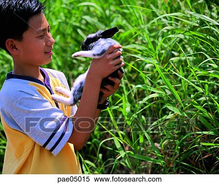 Stock Photography - loving of animals, rabbit, animal, children, child, kid, boy. Fotosearch