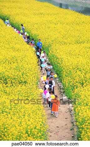 picnic, spring picnic, flower field, children, child View Large Photo Image Stock Image - picnic, spring picnic, flower field, children, child. Fotosearch