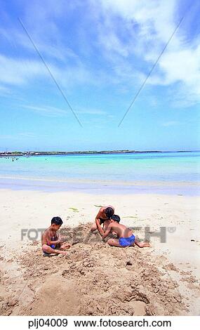 playing with sand, sea, sea, sandy beach, boy, children, child View Large Photo Image Stock Photo - playing with sand, sea, sea, sandy beach, boy, children, child. Fotosearch