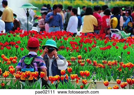 take a photo, camera, take a photo, children, child, kid, family View Large Photo Image Stock Image - take a photo, camera, take a photo, children, child, kid, family. Fotosearch