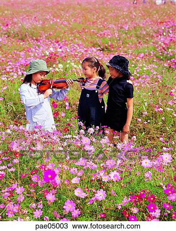 violin, musical instrument performing, musical instrument, performing, friends, cosmos, person View Large Photo Image Stock Image - violin, musical instrument performing, musical instrument, performing, friends, cosmos, person. Fotosearch