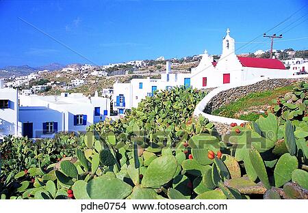 Mikonos, white house, white building, construction, church, cactus, prickly pear View Large Photo Image Picture - Mikonos, white house, white building, construction, church, cactus, prickly pear. Fotosearch